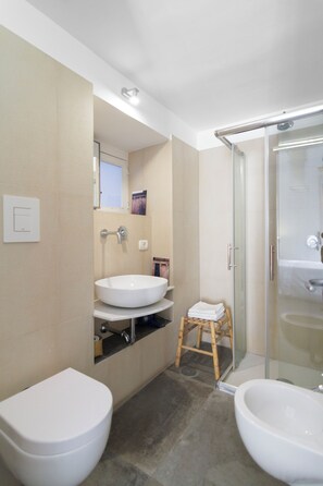 Shower, hair dryer, bidet, towels