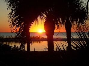 Miscellaneous - Cozy Beachfront, Great Sunsets, Fort Myers Beach, FL (Fort Myers Beach)