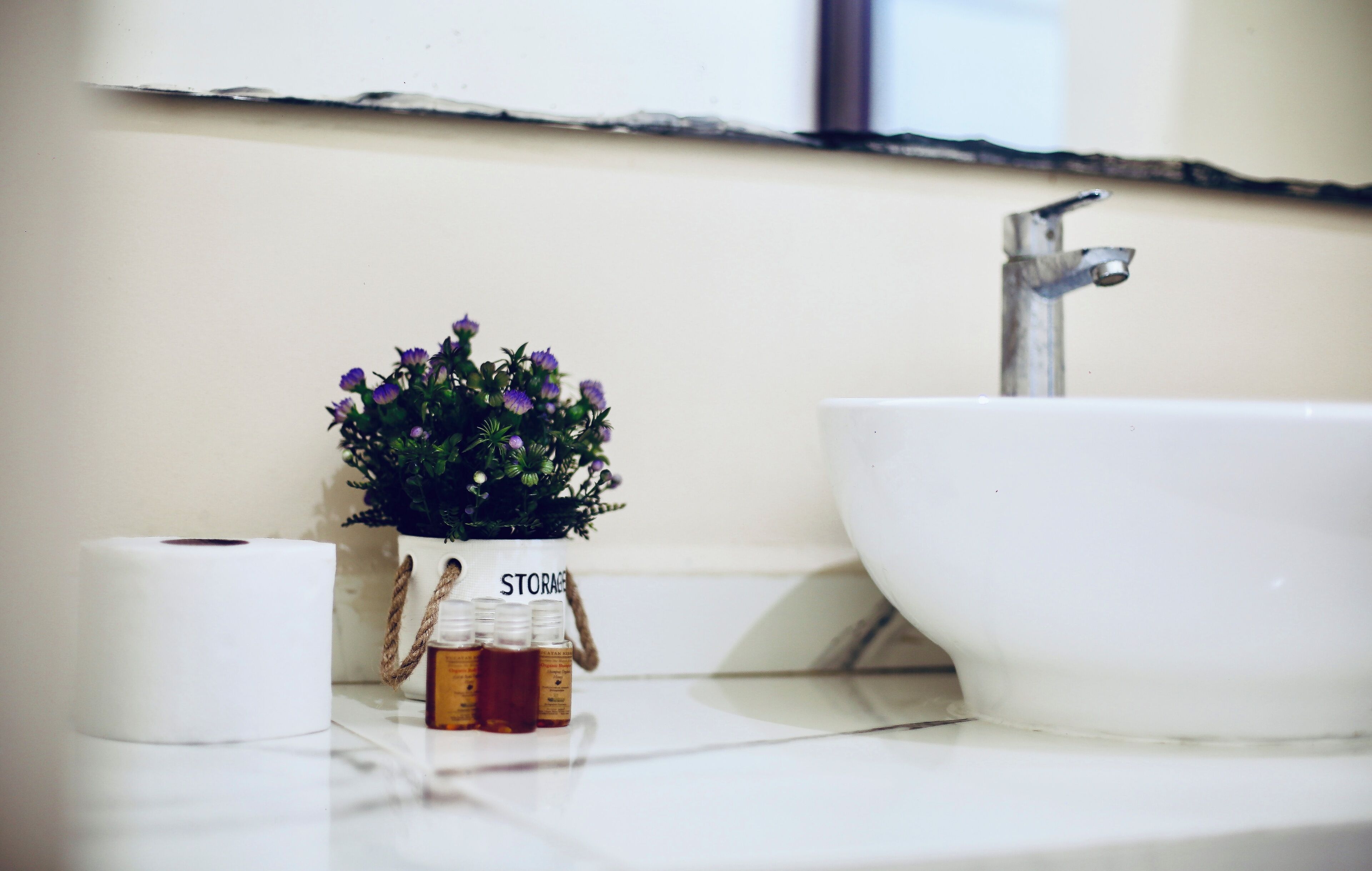 A bathroom with a white sink, a small potted plant, and a roll of toilet paper on the counter.