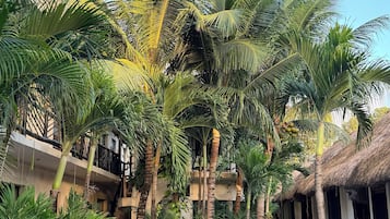 Vistas desde el alojamiento