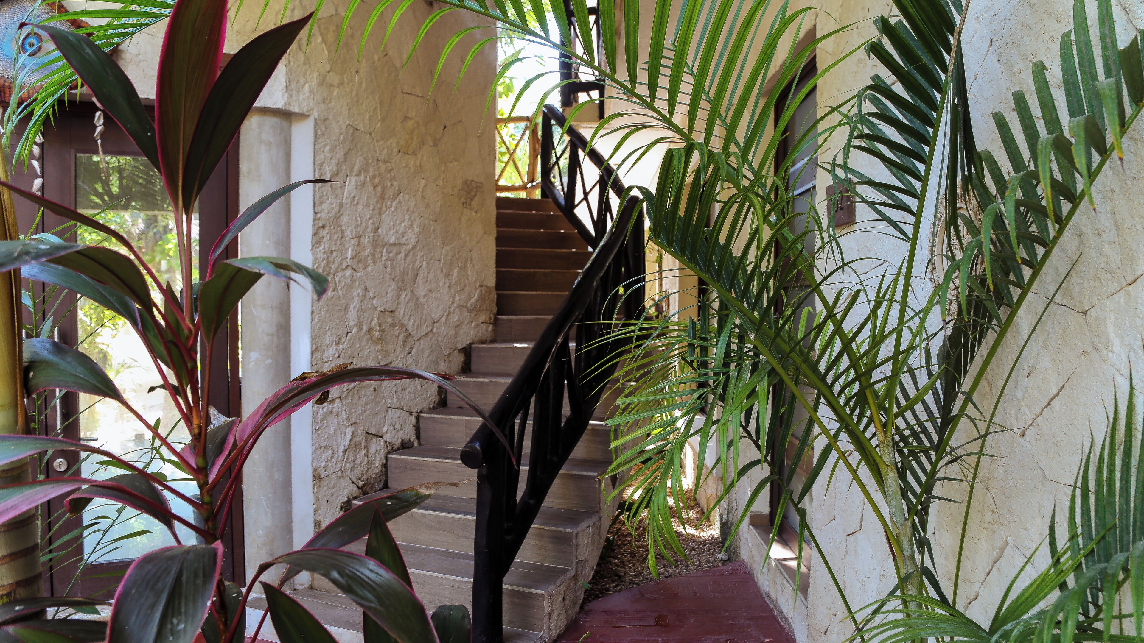 Una escalera con pared de piedra y barandilla metálica, rodeada de abundante vegetación.