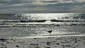 Een strand met een vogel in het zand, golven en een gedeeltelijk bewolkte lucht.