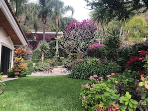 Property grounds - Tranquil summer escape, world-best climate, overlooking Lake Chapala (San Antonio Tlayacapan)