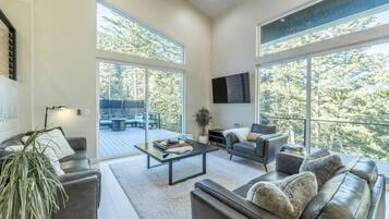 Tv, eldstad, böcker och kontor