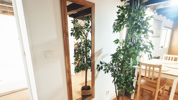 Une pièce comprenant une table à manger en bois, des chaises, une plante en pot et un miroir avec un cadre en bois.