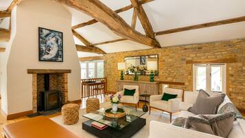 TV, fireplace, books