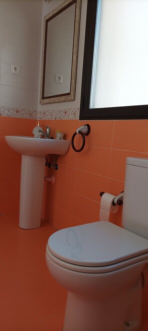 Hair dryer, bidet, towels, soap