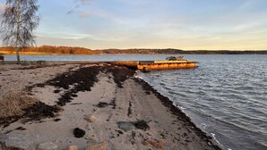Ein sandiger Strand mit einem Steg, der sich in einen ruhigen See erstreckt, umgeben von Bäumen und Hügeln.