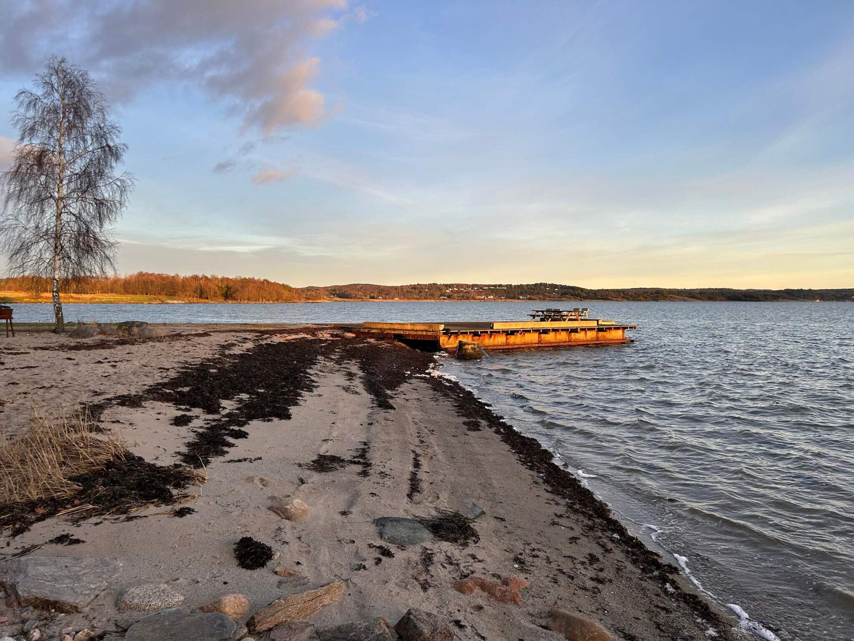 A beach with a dock extending into calm waters, surrounded by trees and a distant shoreline.
