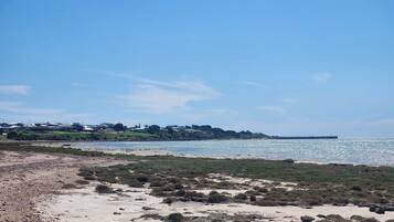 بالقرب من الشاطئ