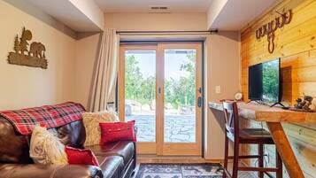 Smart TV, fireplace, books