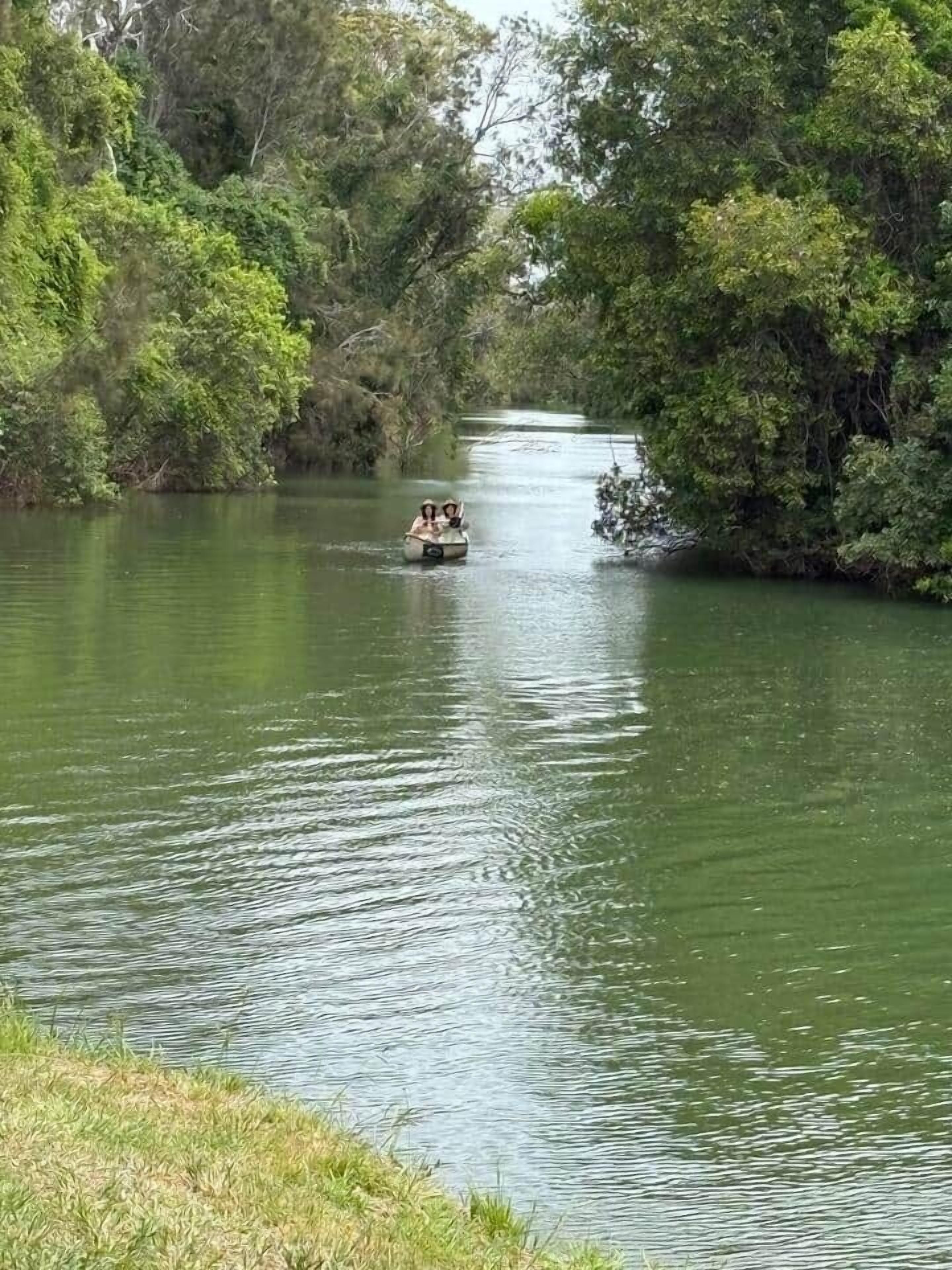 A narrow waterway with dense foliage on both sides.