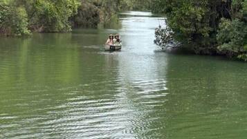 A narrow waterway with dense foliage on both sides.