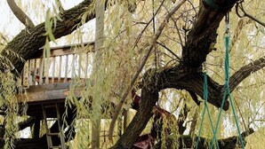 A tree with a swing set and a slide. - Willow South Cottage (Moscow)