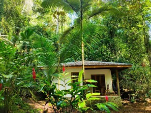 Exterior - Bungalow 2, your haven of peace in the jungle! (Puerto Viejo)