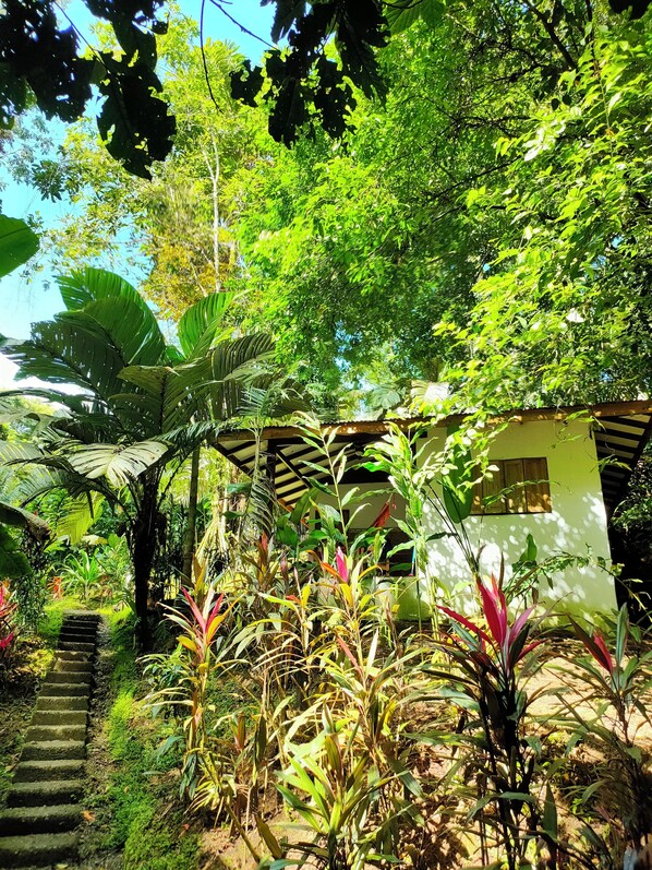 المنطقة المحيطة بالمنشأة