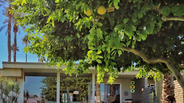 Ein modernes Haus mit Terrasse, Pool und Gartenanlage im Wüstenstil.
