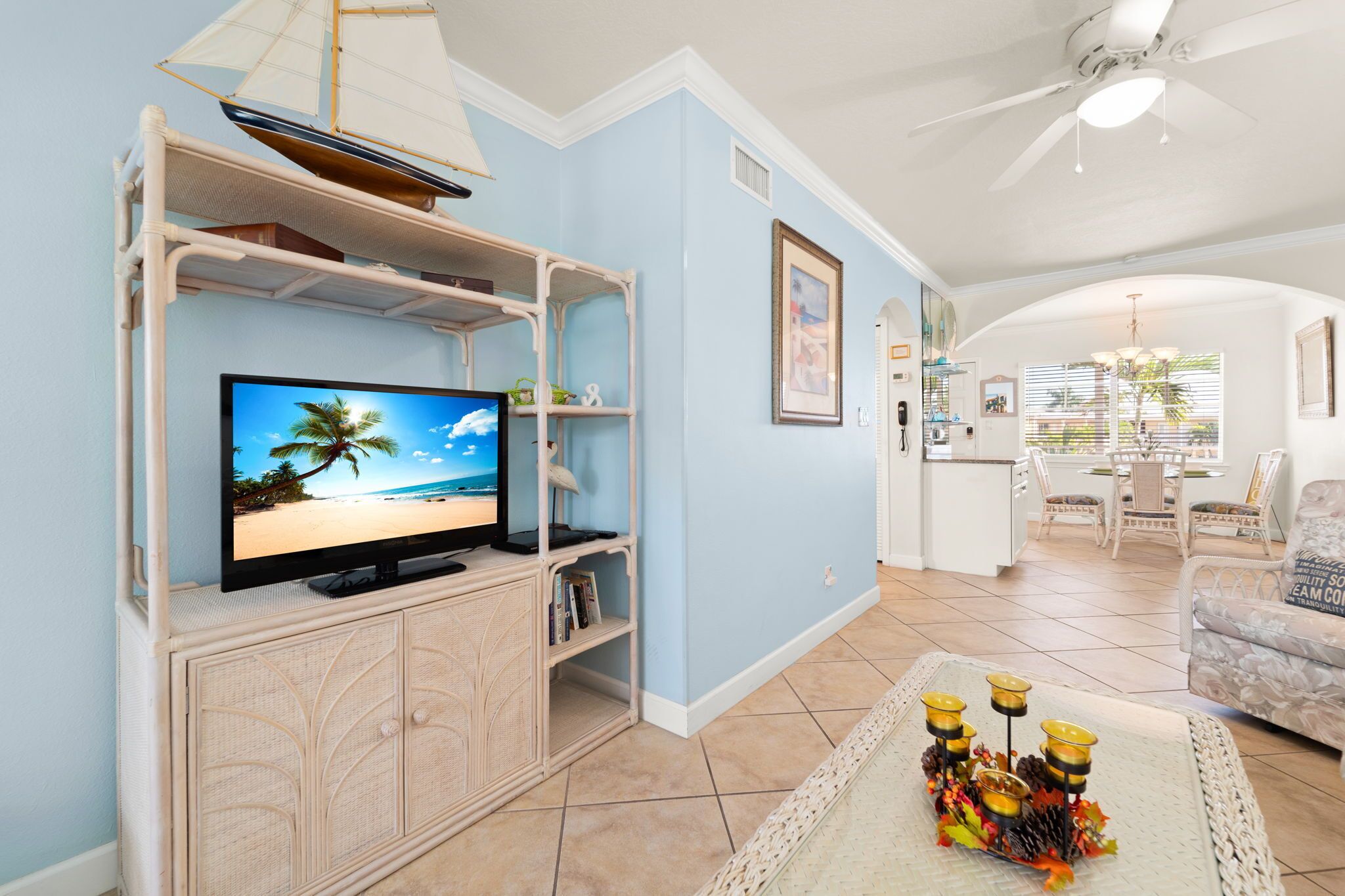 Televisión, reproductor de DVD y libros 