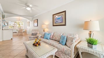 電視、DVD 播放機、書籍