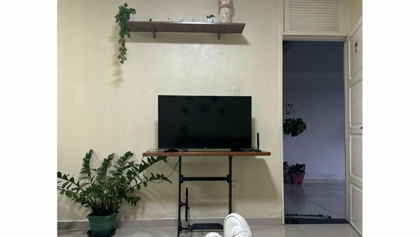 Ett rum med en tv på ett stativ, en krukväxt och en person som ligger på golvet.