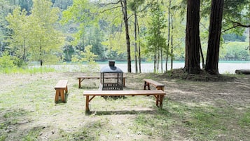 A picnic area with benches and a grill, surrounded by trees and a lake.