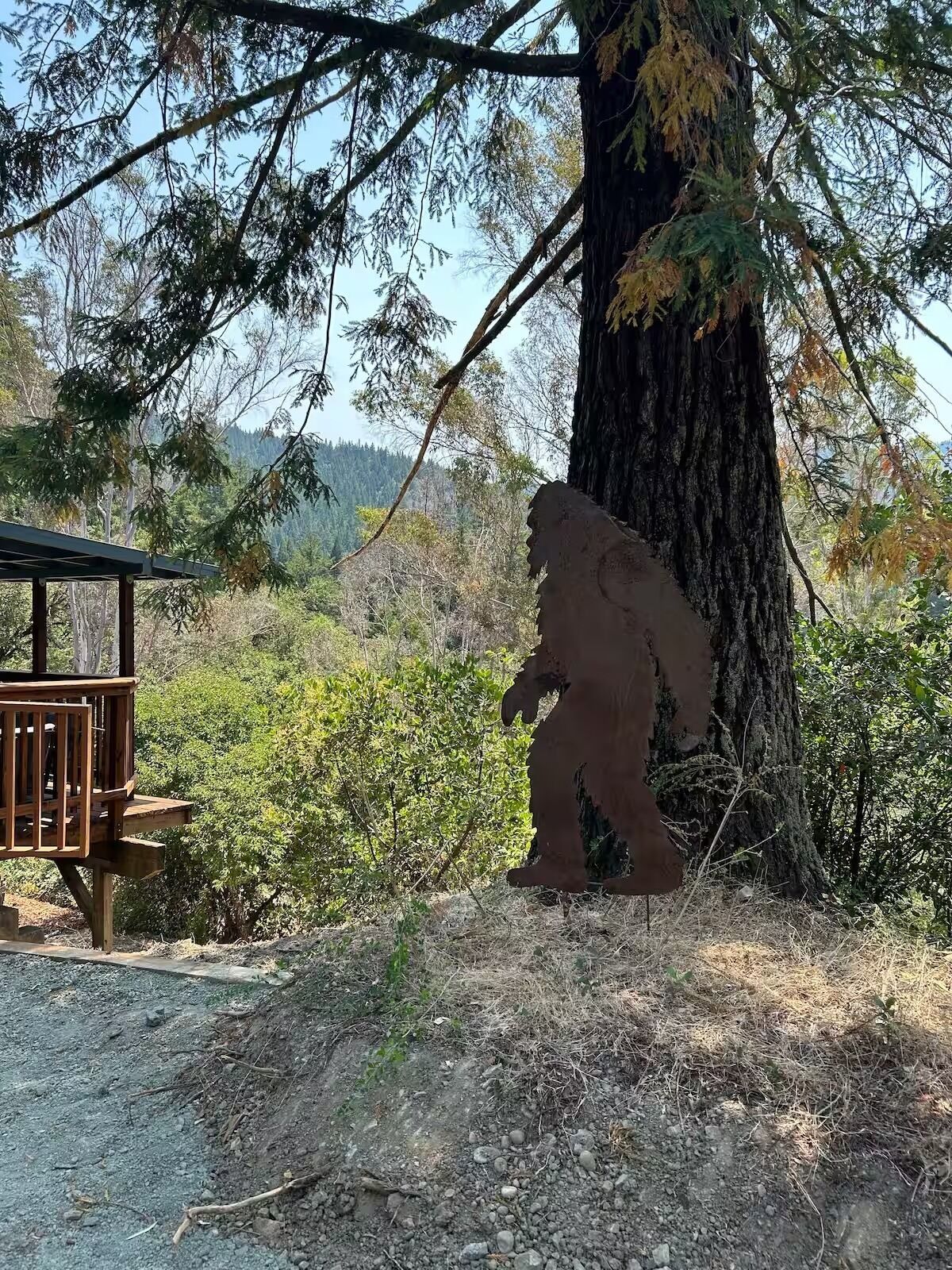 المنطقة المحيطة بالمنشأة