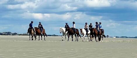Una playa con gente montando a caballo.