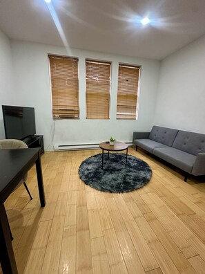 TV - Apartment ville-Marie (Montréal)