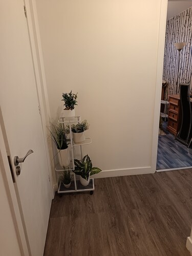 Safe and clean comfortable  room