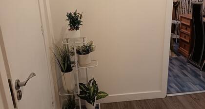 Safe and clean comfortable room