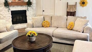 Smart TV, fireplace, books, stereo