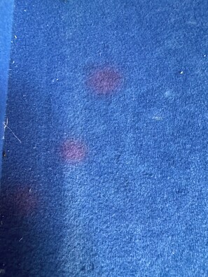 A close-up of a textured surface with a blue hue and two circular stains. - Renovated 4-bedroom house in Las Vegas, private pool, BBQ, ping-pong, parking, 20 minutes from the Strip (Henderson)