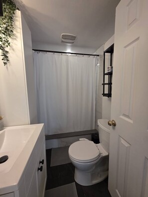 Shower, bidet, towels, toilet paper