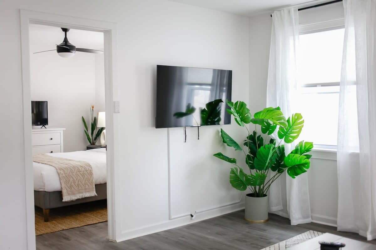 A modern bedroom with a bed, a TV mounted on the wall, a ceiling fan, and a large potted plant.