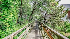 Una passerella in legno circondata da vegetazione fitta e alberi.