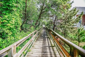 A wooden boardwalk surrounded by dense greenery and trees. - Sojourn Baycation Beach House 5 Min Walk to Beach (Norfolk)