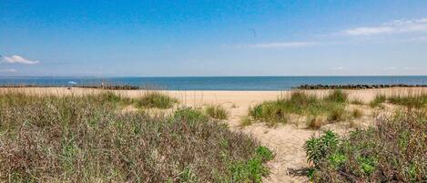 A beach with a clear sky, sandy dunes, and a calm sea.