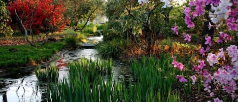 A serene garden with a small stream, lush greenery, and vibrant flowers.