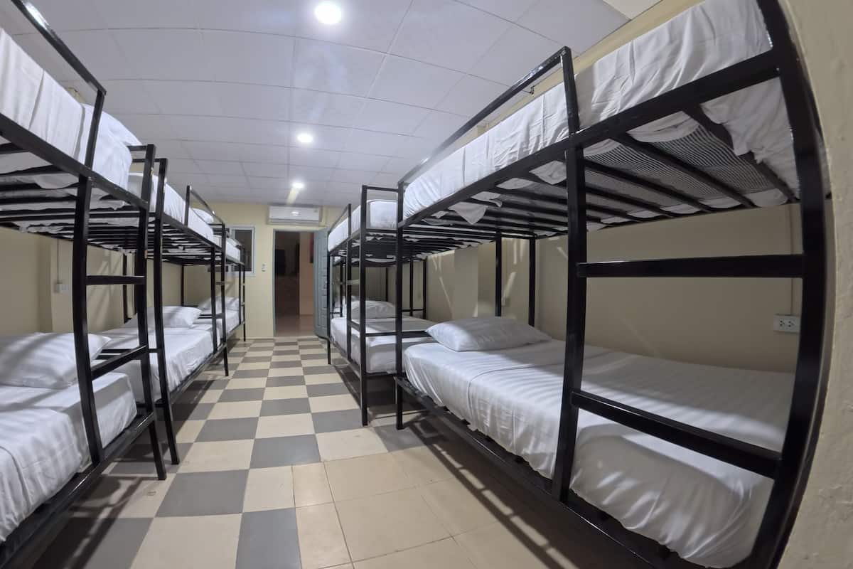 Economy Shared Dormitory | In-room safe, desk, laptop workspace, free WiFi