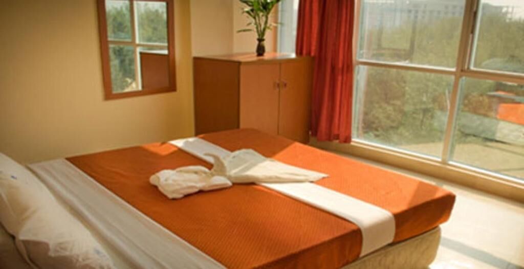 A hotel room with a bed, a window, a cabinet, and a plant.
