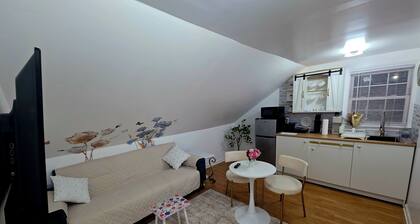 Stylish 1BR Apartment in Mineola w/ Kitchenette & Private Entry