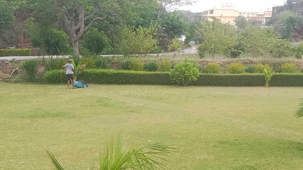 Eine Person mäht einen Rasen in einem Park mit Bäumen und einer Hecke im Hintergrund.