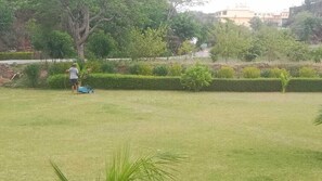 Lobby sitting area - Molshree Farms Homestay (Udaipur)