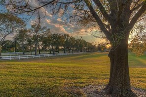 Unclassified image, 2 of 12, button - PgaVillageResort by AmericanVacationLiving 1 Br (Port St. Lucie)