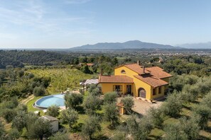Una villa gialla con piscina, circondata da ulivi e vigneti, con vista su un paesaggio montuoso.