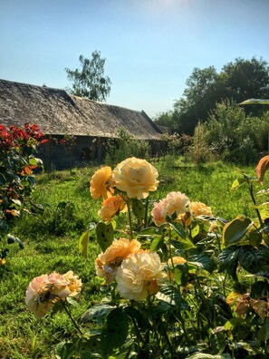 Àrea exterior de l'allotjament