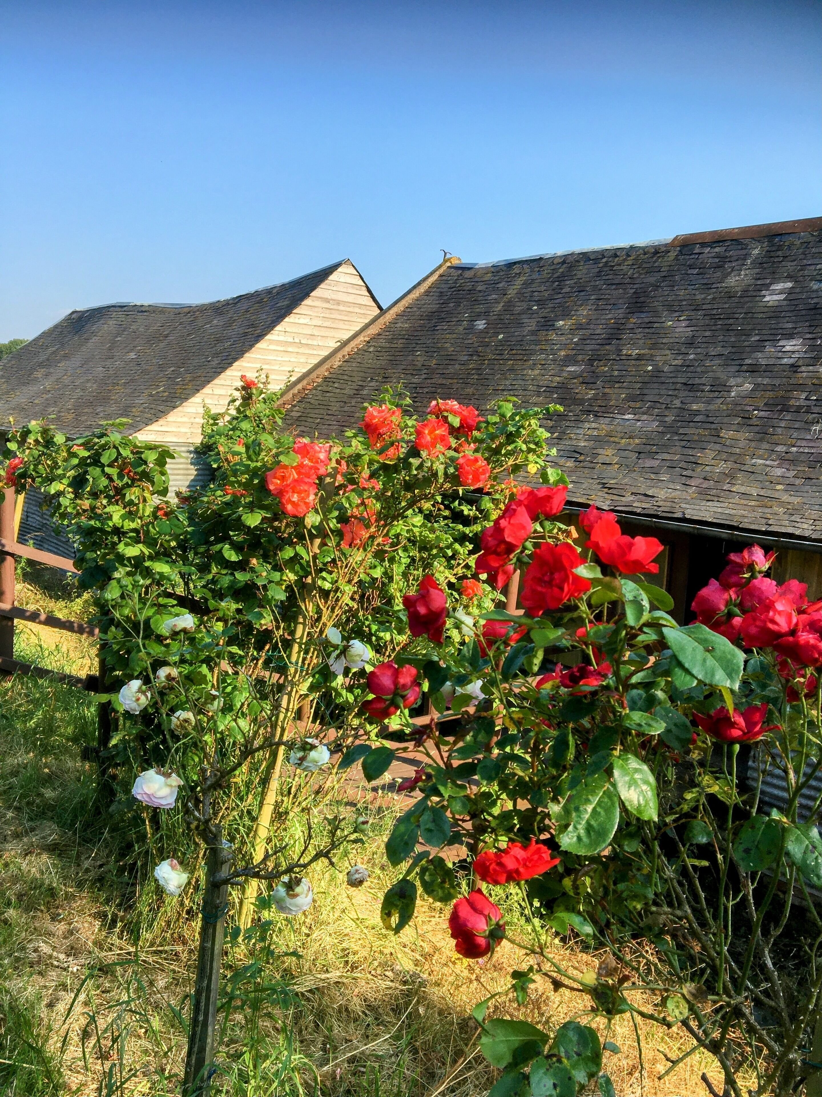 Details aan de buitenkant