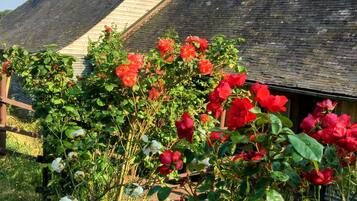 Details aan de buitenkant