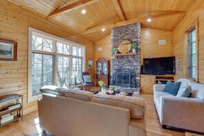 TV, fireplace, books