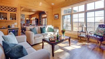 TV, fireplace, books